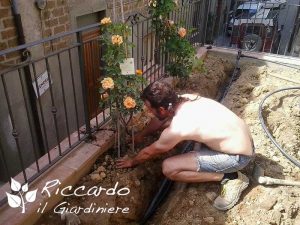Lavoro di irrigazione, Riccardo il Giardiniere