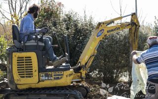 Movimentazione piante, aree di intervento Orvieto, Viterbo, Chiusi, Terni, Perugia