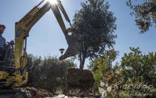 Movimentazione piante, aree di intervento Orvieto, Viterbo, Chiusi, Terni, Perugia