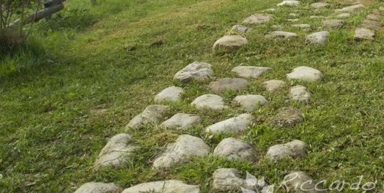 caminnamento giardino con pietre di fiume